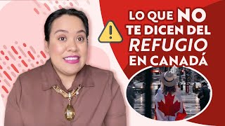 Lo que debes saber sobre la petición de refugio en Canadá  2023 [upl. by Eitsud]