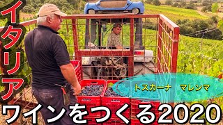 【イタリアワイン】トスカーナ マレンマ ワイン生活ー③〜Italy in Toscana Maremma “Making wine Morellino di Scansano〜 [upl. by Keeley244]