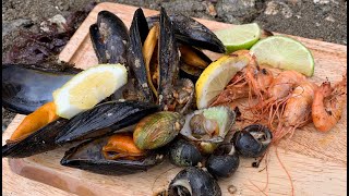 Coastal Foraging  Shellfish Beach Cook Up [upl. by Orsini73]