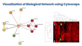 Visualization of Biological Network using Cytoscape [upl. by Ayekin]