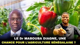 Le ministre de l’agriculture du Senegal est il une chance pour ce pays [upl. by Venita]