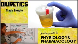 Diuretics CVS Pharmacology  part 1 [upl. by Towny500]