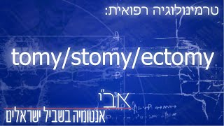 טרמינולוגיה רפואית של tomy otomy ectomy stomy ostomy [upl. by Gilud]