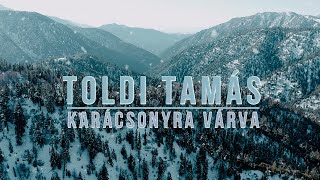 Toldi Tamás  Karácsonyra várva [upl. by Nagem310]