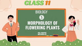 Morphology of Flowering Plants  Class 11 Biology  ONE SHOT💯 WITH NOTES 📝 AskPrep [upl. by Giglio]