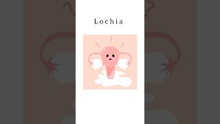 Lochia kattrucate medicalreels shorts pregnancy discharge red pink periods leucocytes [upl. by Slemmer651]