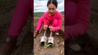 Satisfying Seedlings Planting Tools for Rural Farmer  Helpful Agricultural Tools shorts ytshorts [upl. by Ellohcin371]