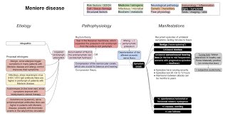 Meniere disease mechanism of disease [upl. by Afrika]