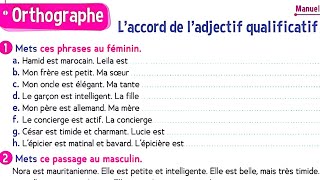 Laccord de ladjectif qualificatif  page 70  le trésor des mots CM2  cahier dactivités [upl. by Mateya]