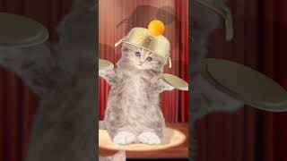 I did it 3  ping pong ball song funny pets funny cat animation  healing  재미있는 고양이 애니메이션 힐링샵 [upl. by Odeen]