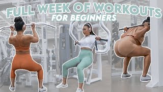 FULL WEEK OF WORKOUTS FOR BEGINNERS AT THE GYM [upl. by Demb]