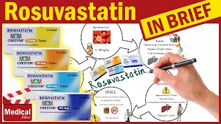 Rosuvastatin 20 mg Crestor What Is Rosuvastatin Used For Dose and Side Effects of Rosuvastatin [upl. by Gautier]