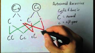 Genetics 4 Autosomal recessive disorders [upl. by Onitsirc]