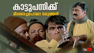 കാട്ടുപന്നിക്ക് മീശവെച്ചപോലെ ഒരുത്തൻ  Cochin Haneefa comedy scene  vettam [upl. by Strep]