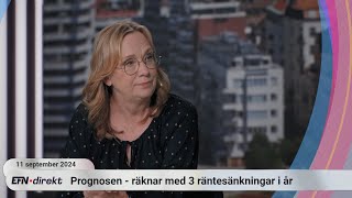 Chefsekonom Så mår Sverige och så var presidentvalsdebatten [upl. by Katy989]