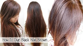 How to Dye Hair from Black to Brown Without Bleach l Loreal HiColor Vanilla Champagne [upl. by Keverne889]