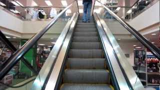 Schindler Escalators  Sears in the Inland Center Mall [upl. by Nilesoy558]