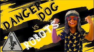 DANGER DOG VS ROBOTS [upl. by Aerdnahs]