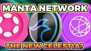 Manta Network the NEW Celestia Airdrops Coming [upl. by Alphonsa257]