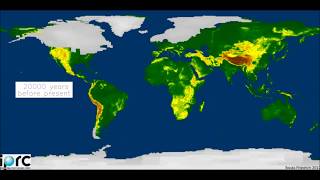 The Last Glacial Cycle [upl. by Ruthie971]