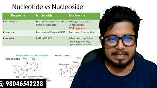 Difference between nucleotide and nucleoside  Nucleotide vs nucleoside [upl. by Darwin]