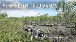 Reapresentando Marizá  Ep 8 Stumpery do sertão [upl. by Llenel]