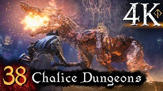 Bloodborne  First Time 4K 100 Platinum Walkthrough Part 38  Chalice Dungeons [upl. by Nayra]