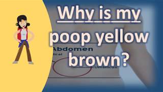 Why is my poop yellow brown   Better Health Channel [upl. by Alul]