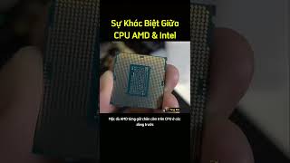 Sự Khác Biệt Nổi Bật Nhất Giữa CPU AMD Và Intel Là Gì [upl. by Ingemar]