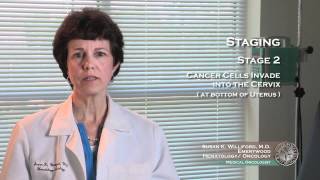 Uterine Cancer Staging 3 [upl. by Alphonsa462]