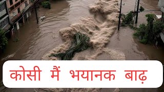 new live कोसी मे बाढ़ पानी बढ़ता जा रहा हैं।KosiWaterCrisis TransboundaryWaterManagement Climate [upl. by Laddy]