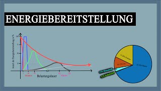 Energiebereitstellung im Muskel  Verlauf mit Erklärung  Grafiken  Knowhow fürs Training [upl. by Domonic136]