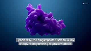 The chemotherapy drug docetaxel slows prostate cancer cell proliferation via the glycolysis pathway [upl. by Alyos]