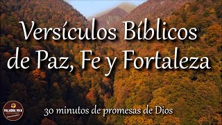 Versículos Bíblicos que te llenarán de Paz Fe y Fortaleza  Biblia hablada  Bible audio [upl. by Leakcim]