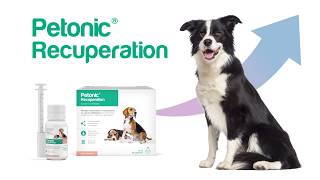 Petonic® Recuperation  Veterinarios [upl. by Lamrouex51]