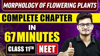 MORPHOLOGY OF FLOWERING PLANTS IN 67 Minutes  Full Chapter Revision  Class 11 NEET [upl. by Casavant48]