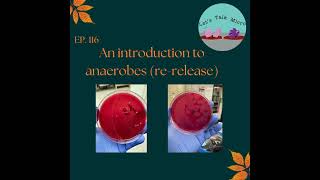 116 An introduction to anaerobes rerelease [upl. by Donoho]