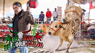 ¡¡¡TOROS QUE TRAEN GENÉTICA DE GANADERÍAS GRANDES Rancho Patrón de Corralejo en Tlalmanalco [upl. by Naihs]