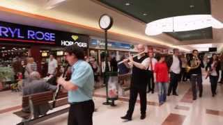 Flashmob symphonique  Centre commercial Auchan Noyelles [upl. by Ayocal]