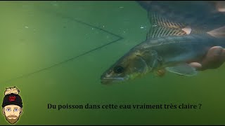 Je pêche un nouveau spot un immense lac très poissonneux en Vendée [upl. by Aig]