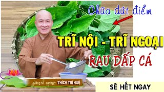 Chữa Dứt Điểm TRĨ NỘI  TRĨ NGOẠI Viêm Đường Ruột Đi Cầu Ra Máu Nhiễm Vi Rút lạ Chùa Pháp Tạng [upl. by Scarito]