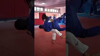 JUDO MOVES trainingvideo judo judoka martialarts mma wrestling jujitsu [upl. by Haerdna]