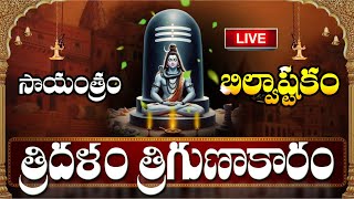 LIVE సోమవారం సాయంత్రం బిల్వాష్టకం వింటే కోటీశ్వరులవుతారు  Bilvashtakam  Lord Shiva Songs [upl. by Eart585]