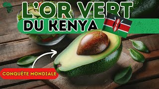 🇰🇪 Les Avocats du Kenya  Révolution Silencieuse dans lAgriculture [upl. by Wilfrid]