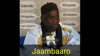 BAABA MAAL amp IBRAHIM SARR DELIA DELAM [upl. by Short]