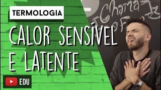 Qual é a diferença entre CALOR SENSÍVEL e CALOR LATENTE  TERMOLOGIA [upl. by Oileduab]