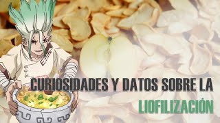 ¿Cómo se LIOFILIZAN los alimentos  Explicado en 7 minutos 🥡🏭✅ [upl. by Uhp653]