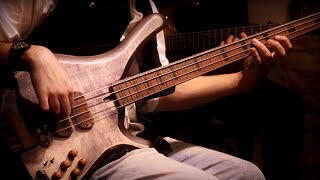 Virtuoso Funk Bass Chops [upl. by Seligmann236]