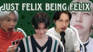 felix being stray kids UNOFFICIAL PABORACHA MEMBER [upl. by Ias103]