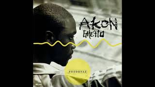 Akon  Ghetto Organ House [upl. by Halette]